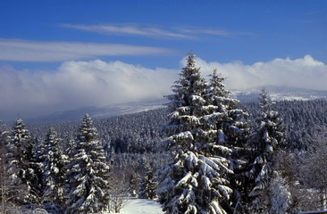 Winterlandschaft