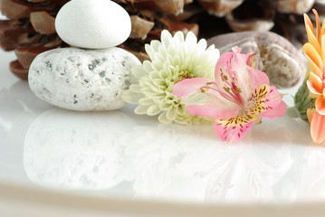 Fototapeta na wymiar kamień i kwiaty