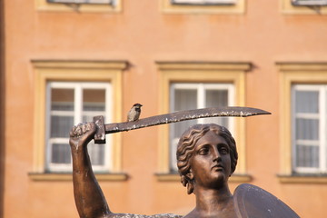 Spatz auf der Statue am Altstädter Markt in Warschau - Polen