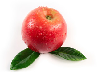 Apple isolated