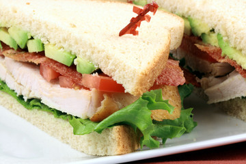 sandwich  with oven roasted turkey