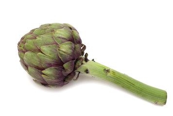 Obraz premium Artichoke