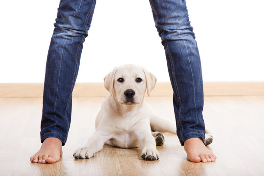 Cute pupie under the legs