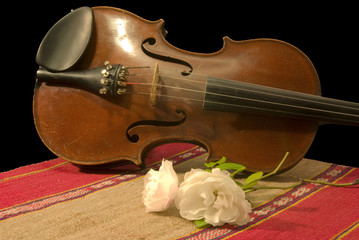 Vecchio violino con rosa