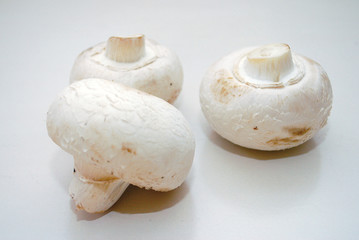 champignons de paris