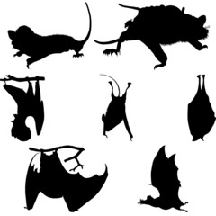 bats silhouettes set