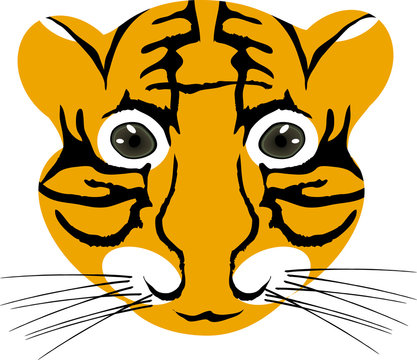 Vector illustration of tiger baby head