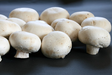 frische champignons