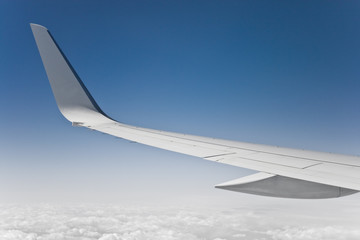 plane wing