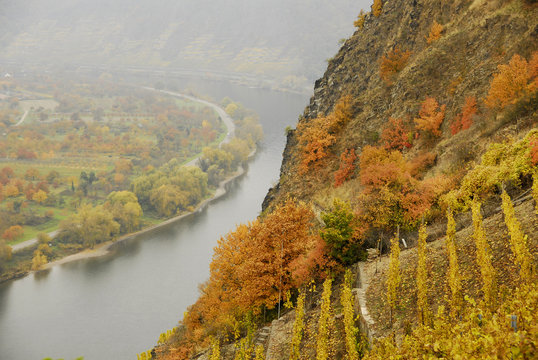 Terrassenmosel