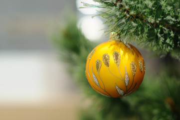 Christmas bauble on a green branch