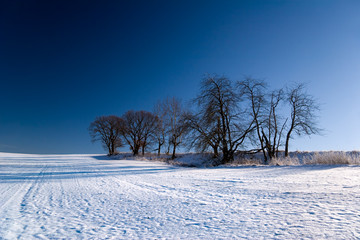 Winterlandschaft in Thüringen mit Bäumen