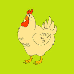 Vector illustration of chiken