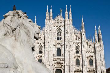 Fototapeta premium Duomo milano leone