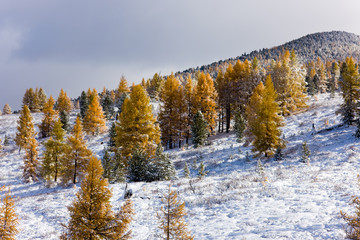 snow in mountains