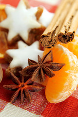 sternanis,zimt,walnuß und mandarine
