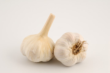 Garlic Bulb