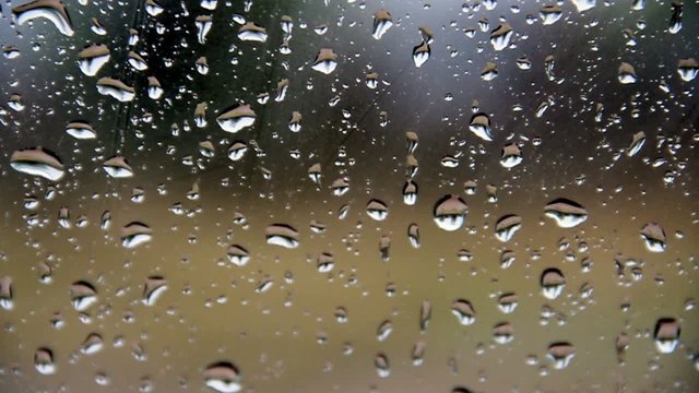 Rain Drops