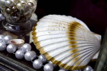 shell and pearl