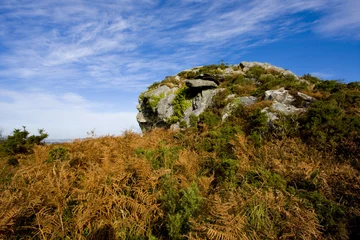 Foto op Canvas view of a small mountain in brittany © minik