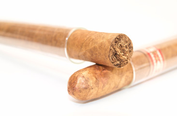 Cigars in glass capsules