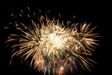 Obraz premium Firework
