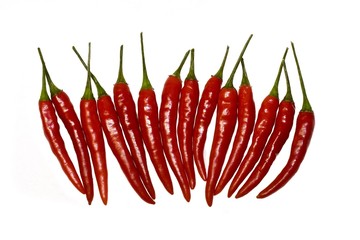 Chili peppers on a white background