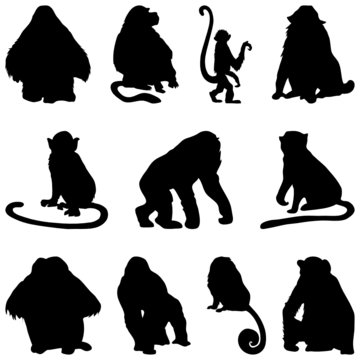 ape silhouettes set