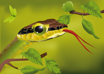 snake and the butterfly