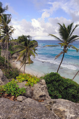 Fototapeta na wymiar Costa caraibica