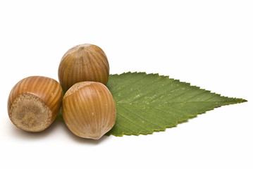 Tres avellanas y su hoja.