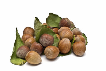 Avellanas sobre hojas secas.