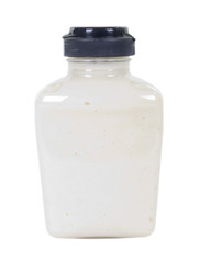 Creamy Horseradish in Bottle