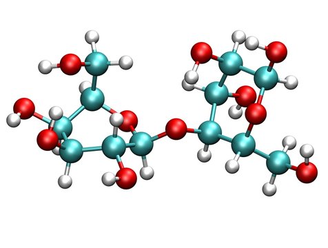 Lactose Molecule
