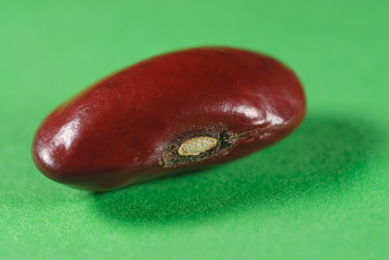 Seed  legumes