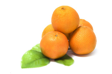 oranges