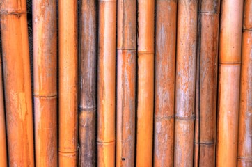 Bamboo sticks
