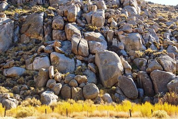 Rock Pile