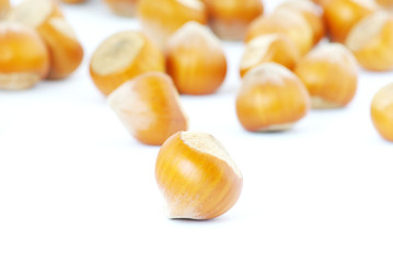 hazelnuts