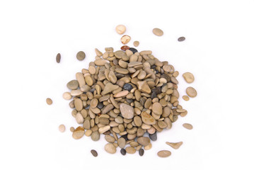 Kiesel freigestellt - pebble isolated 01