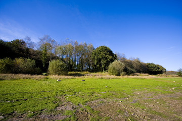 view around a lake in brittany