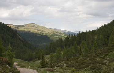 Fototapeta na wymiar Alpy w Południowym Tyrolu