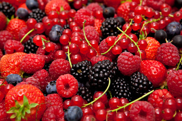 Obraz na płótnie Canvas choose from different berries