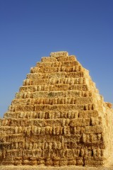 Cereal barn with square shape stack on columns