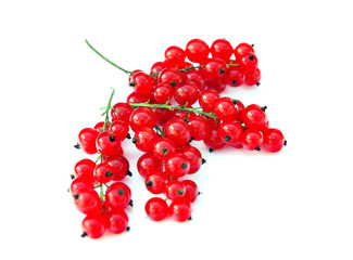 Red currants