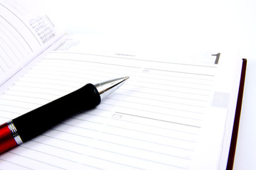 agenda and ball pen