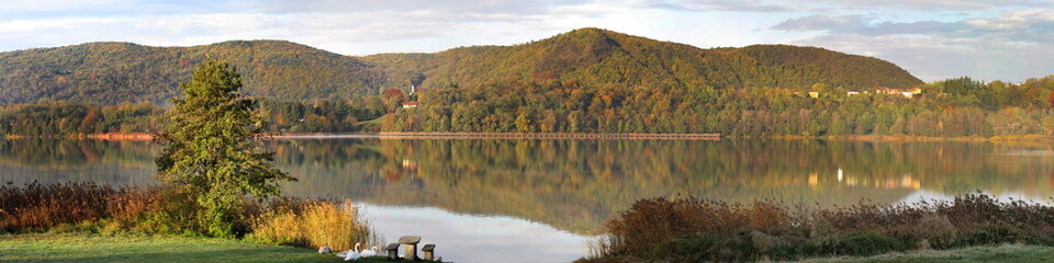 colored trees during fall time