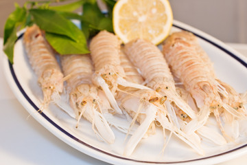 Cicale di mare