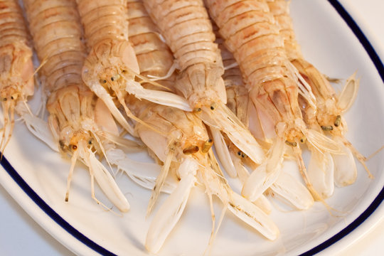 Cicale di mare