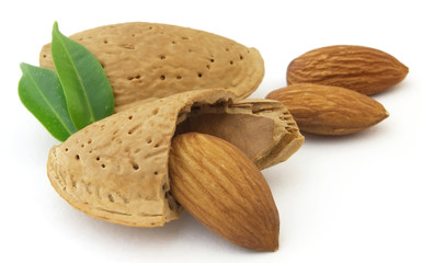 Almond